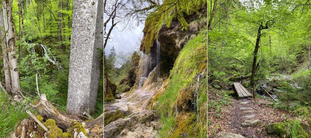 Ein kleiner Wasserfall, der Schleierwasserfall und eine kleine Holzbrücke